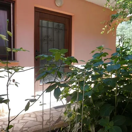 Biserka Vinogradska 3* Pula